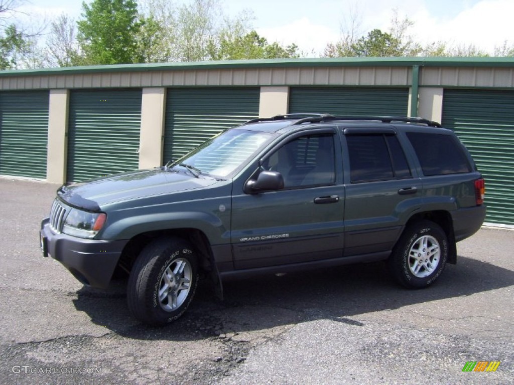 2004 Grand Cherokee Laredo 4x4 - Onyx Green Pearl / Dark Slate Gray photo #1