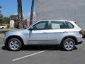 2013 Titanium Silver Metallic BMW X5 xDrive 35i  photo #2