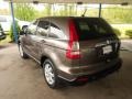 Borrego Beige Metallic - CR-V EX 4WD Photo No. 2