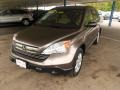 2009 Borrego Beige Metallic Honda CR-V EX 4WD  photo #28