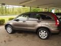 Borrego Beige Metallic - CR-V EX 4WD Photo No. 29