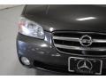 Gray Lustre Metallic - Maxima GLE Photo No. 3