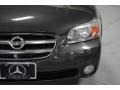 Gray Lustre Metallic - Maxima GLE Photo No. 4