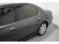 Gray Lustre Metallic - Maxima GLE Photo No. 9