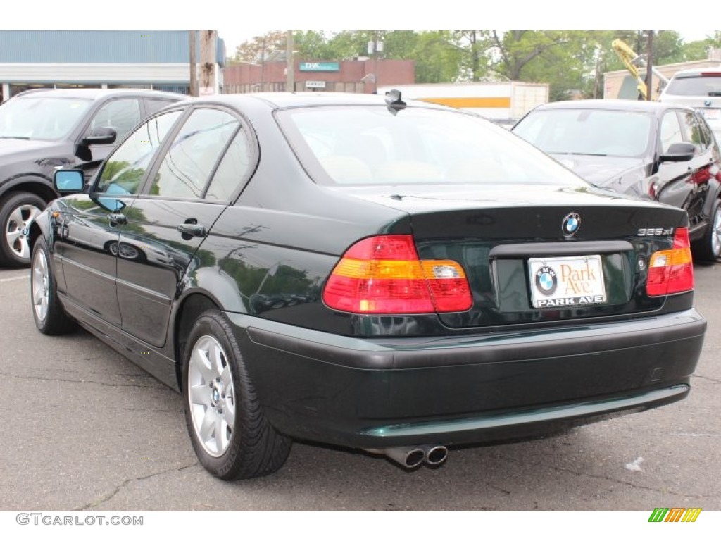 2004 3 Series 325xi Sedan - Oxford Green Metallic / Natural Brown photo #7