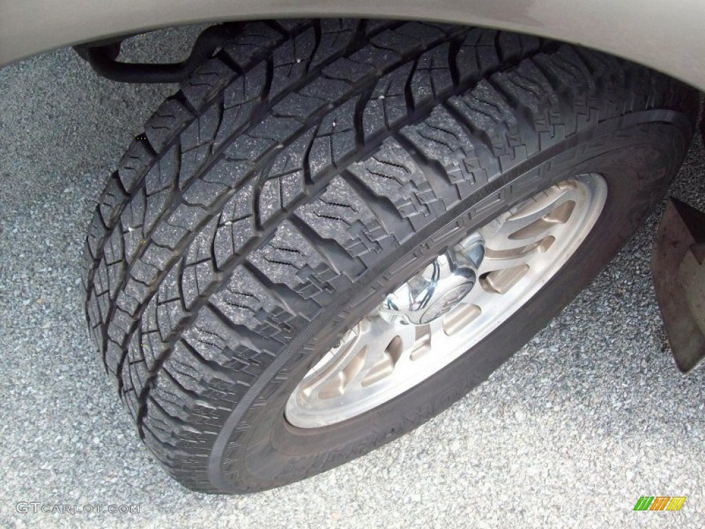 2001 F150 King Ranch SuperCrew - Charcoal Blue Metallic / Castano Brown Leather photo #4