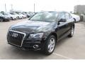 Brilliant Black - Q5 3.2 FSI quattro Photo No. 3
