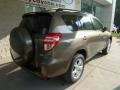 Pyrite Mica - RAV4 I4 4WD Photo No. 2