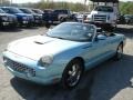 Thunderbird Blue - Thunderbird Premium Roadster Photo No. 4