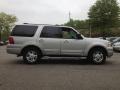 2004 Silver Birch Metallic Ford Expedition XLT 4x4  photo #8