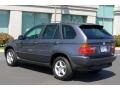 Steel Grey Metallic - X5 3.0i Photo No. 4