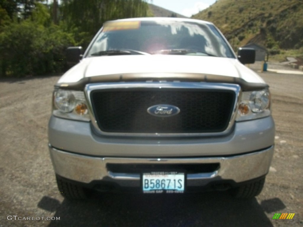 2006 F150 XLT SuperCrew 4x4 - Silver Metallic / Medium/Dark Flint photo #6