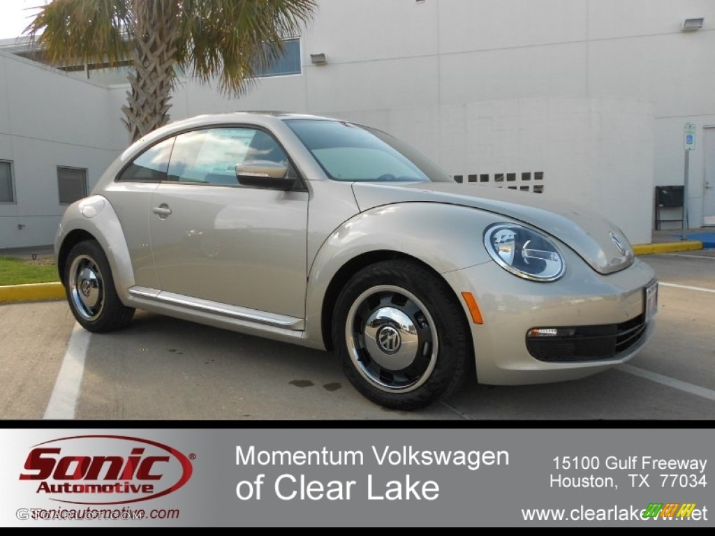 Moonrock Silver Metallic Volkswagen Beetle