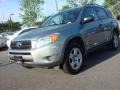 Everglade Metallic - RAV4  Photo No. 6