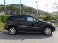 Black - ML 350 4Matic Photo No. 2