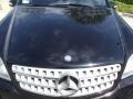 Black - ML 350 4Matic Photo No. 10
