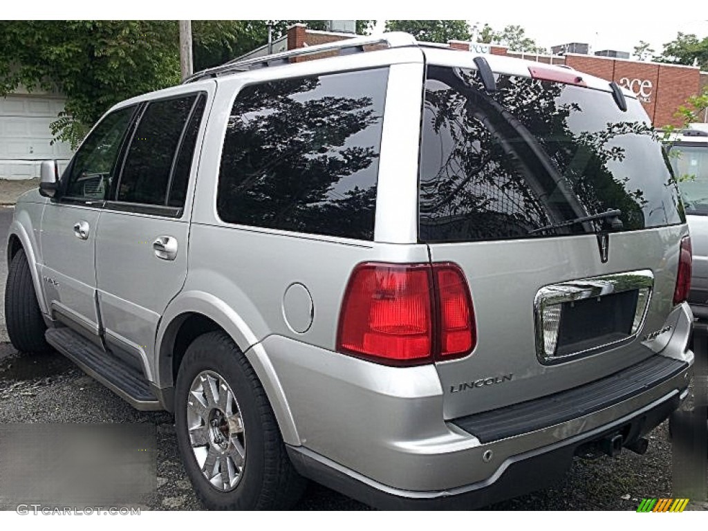 2004 Navigator Luxury 4x4 - Cashmere Tri-Coat / Dove Grey photo #3
