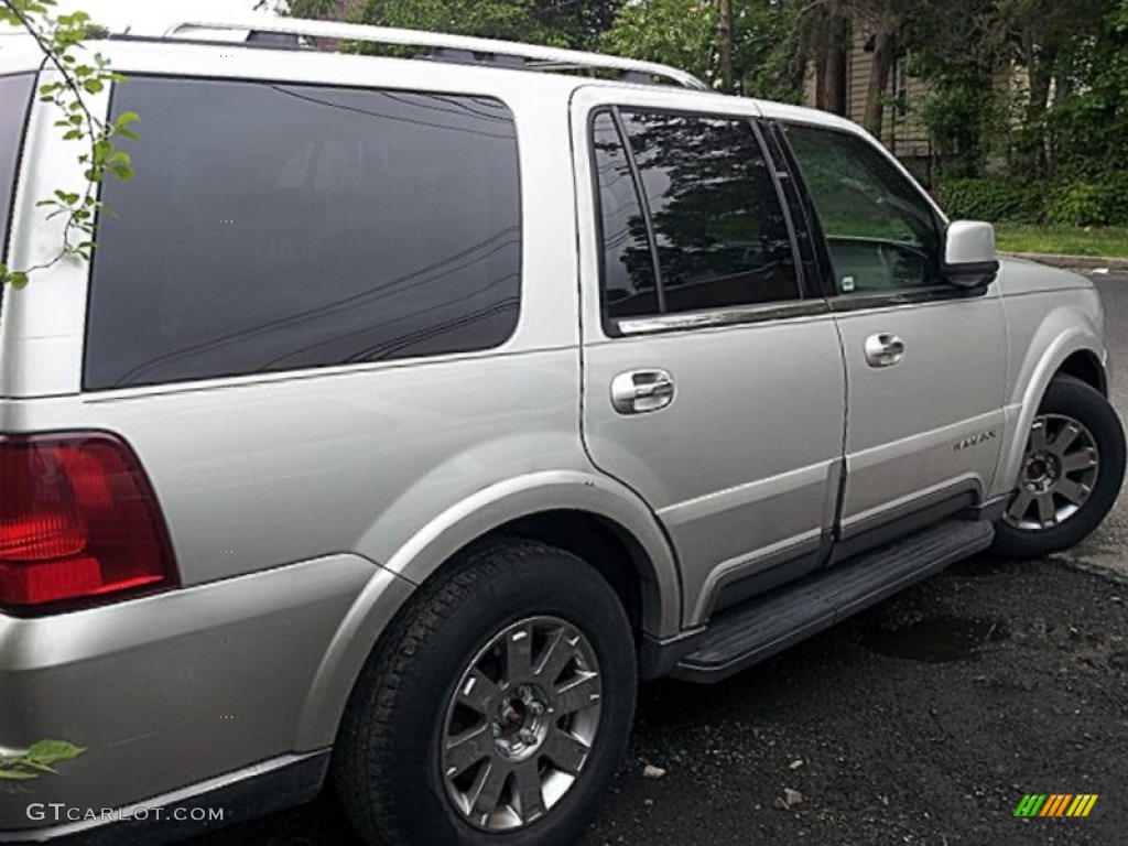 2004 Navigator Luxury 4x4 - Cashmere Tri-Coat / Dove Grey photo #4