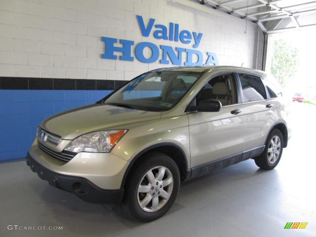 2009 CR-V EX 4WD - Borrego Beige Metallic / Ivory photo #1