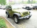 Jeep Green Metallic - Wrangler X 4x4 Photo No. 6