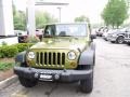 Jeep Green Metallic - Wrangler X 4x4 Photo No. 7