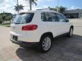 Candy White - Tiguan SE Photo No. 5