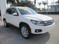 Candy White - Tiguan SE Photo No. 7