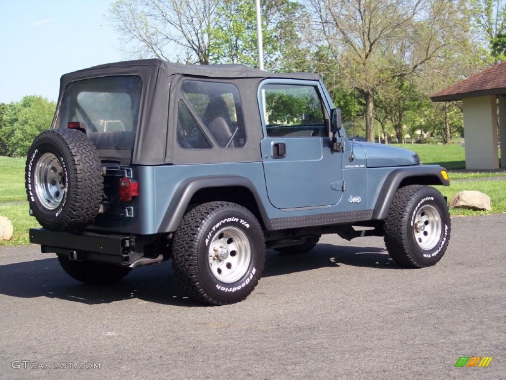 1998 Wrangler SE 4x4 - Gun Metal Pearl / Gray photo #5