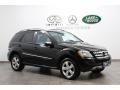 Black - ML 350 4Matic Photo No. 1