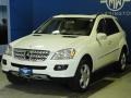 Arctic White - ML 350 4Matic Photo No. 4