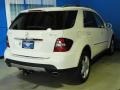 Arctic White - ML 350 4Matic Photo No. 10
