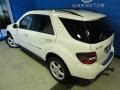 Arctic White - ML 350 4Matic Photo No. 34