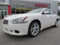 Winter Frost White - Maxima 3.5 SV Photo No. 1