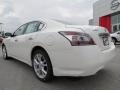 Winter Frost White - Maxima 3.5 SV Photo No. 3