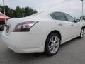 Winter Frost White - Maxima 3.5 SV Photo No. 5