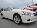 Winter Frost White - Maxima 3.5 SV Photo No. 7
