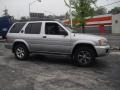 Chrome Silver Metallic - Pathfinder SE 4x4 Photo No. 15