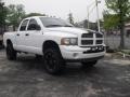 Chrome Silver Metallic - Pathfinder SE 4x4 Photo No. 93
