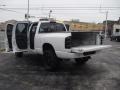 Chrome Silver Metallic - Pathfinder SE 4x4 Photo No. 169