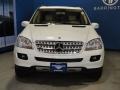 Arctic White - ML 350 4Matic Photo No. 2