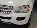 Arctic White - ML 350 4Matic Photo No. 5