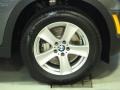 Platinum Gray Metallic - X5 xDrive 35d Photo No. 28
