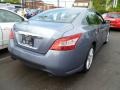 2010 Ocean Gray Nissan Maxima 3.5 S  photo #3