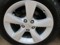 2010 Smokey Granite Mica Lexus RX 350 AWD  photo #15