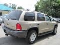 2002 Light Almond Pearl Metallic Dodge Durango Sport 4x4  photo #2