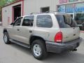 2002 Light Almond Pearl Metallic Dodge Durango Sport 4x4  photo #17