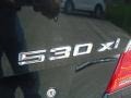 Jet Black - 5 Series 530xi Sedan Photo No. 35