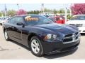 Brilliant Black Crystal Pearl - Charger SE Photo No. 17