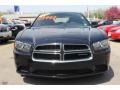 Brilliant Black Crystal Pearl - Charger SE Photo No. 18