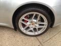 Arctic Silver Metallic - 911 Carrera 4S Cabriolet Photo No. 9